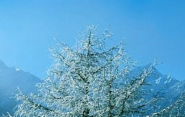 智能配置最优的在线DDOS攻击平台